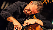 Avishai Cohenas