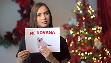 Agnė Kulitaitė