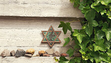Žydai