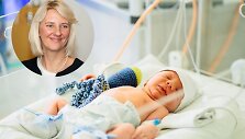 Kokliu&scaron;o renesansas &ndash; komentuoja Inga Iva&scaron;kevičienė