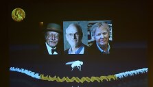 Medicinos Nobelio premijos laureatų paskelbimas
