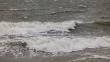 Vėjuota Palanga