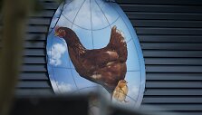 Hekendorpo fermoje aptiktas pauk&scaron;čių gripas