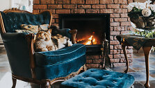Mėlynas Kristinos Lukauskienės namų interjeras