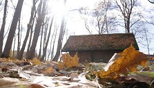 Roki&scaron;kis
