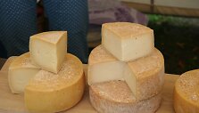 Sūris