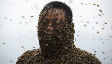 Bitės ant Kinijos bitininko She Pingo
