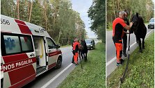 Kauno rajone paramedikai ir policija gelbėjo keliu įėjusį arklį