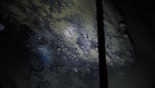 Prane&scaron;ama, kad gyvūnų bendruomenė ant riedulio (nuotraukoje) yra pirmoji, matyta ant kieto pagrindo taip giliai po ledyno &scaron;elfu