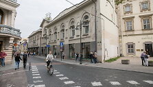 Naktinis Vilniaus avilys