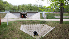 Sodų bendrija &bdquo;Jiesia&ldquo;