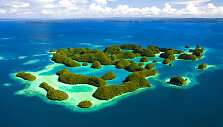 Egzoti&scaron;kasis Palau salynas