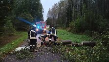 Šilininkuose (Šilutės r.) nuvirtęs medis užtvėrė kelią