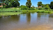 Panevėžio braidykla