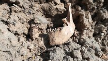 Archeologiniai kasinėjimai Žeimelyje