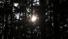 Pramoga laisvadieniu &ndash; pasivaik&scaron;čiojimas vir&scaron; pelkės.