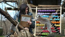 Kasmetinis gyvūnų sura&scaron;ymas Londono zoologijos sode
