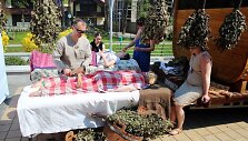 Palanga ruo&scaron;iasi Oirties ir SPA &scaron;ventei