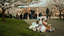 Vakaras sakurų parke
