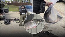 Sulaikyti brakonieriai, nu&scaron;ovę &scaron;lakio patelę