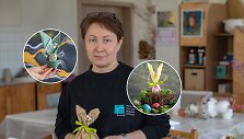 Jurgita Vasiliauskienė