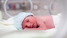 Gyvenimas inkubatoriuje