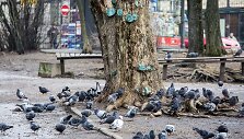 Pavasaris jau pradeda žadinti Vilnių
