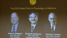 Amerikiečiai biologai Jamesas Rothmanas bei Randy Schekmanas ir Vokietijoje gimęs tyrėjas Thomas Suedhofas pelnė 2013 metų Nobelio medicinos ir fiziologijos premiją.