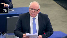 Fransas Timmermansas