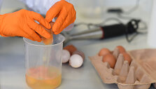 Vokietiją pasiekė per 28 mln. fipronilu užter&scaron;tų kiau&scaron;inių