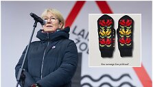Su &scaron;iomis pir&scaron;tinėmis E.Bučelytė lipo ir sceną mitingo, skirto apsaugoti laisvą žodį, metu