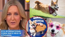 Korgių lenktynės 2026, &bdquo;Good morning America&ldquo; laida