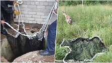 Danielis įkrito į &scaron;ulinį, bet buvo i&scaron;gelbėtas