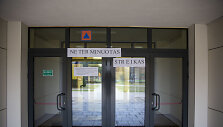 Streikas Vilniaus Žemynos progimnazijoje