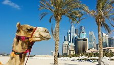 Dubajus