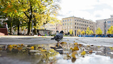 Permainingas Spalio oras Vilniuje