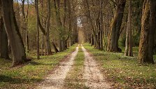 &Scaron;ereiklaukio mi&scaron;ko takas