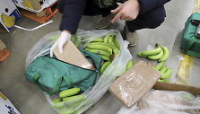 Bananų siuntoje - kokainas