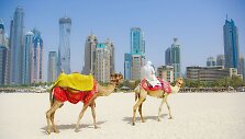 Dubajus
