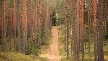 Briedžių takais po Gražutės regioninį parką
