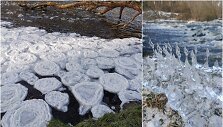 &Scaron;u&scaron;vės upėje &scaron;altukas &bdquo;prikepė&ldquo; &scaron;akočių ir blynelių