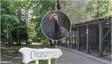 Oranžerijos teritorija