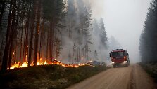 Mi&scaron;kų gaisrai &Scaron;vedijoje