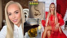 Ieva Voveris, parazitai
