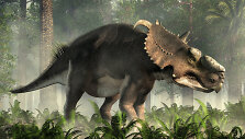 Pachyrhinosaurus