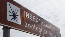 Uždarytas Insektariumas Palangoje