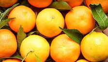 Mandarinai