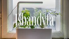 Išbandyta: i&scaron;manusis daržas ant palangės