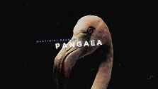 Naktiniai Pauk&scaron;čiai &bdquo;Kablyje&ldquo; atvers naują muzikinį kozirį &ndash; PANGAEA 