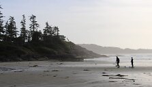 Plaukiojimas banglente lapkritį, Tofino